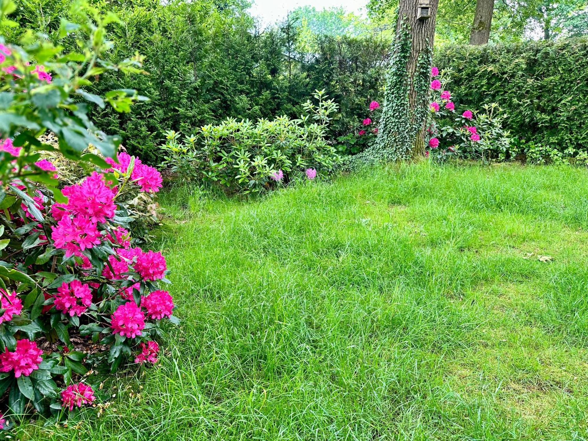 Vakantie Veluwe Βαγκενίνγκεν Εξωτερικό φωτογραφία