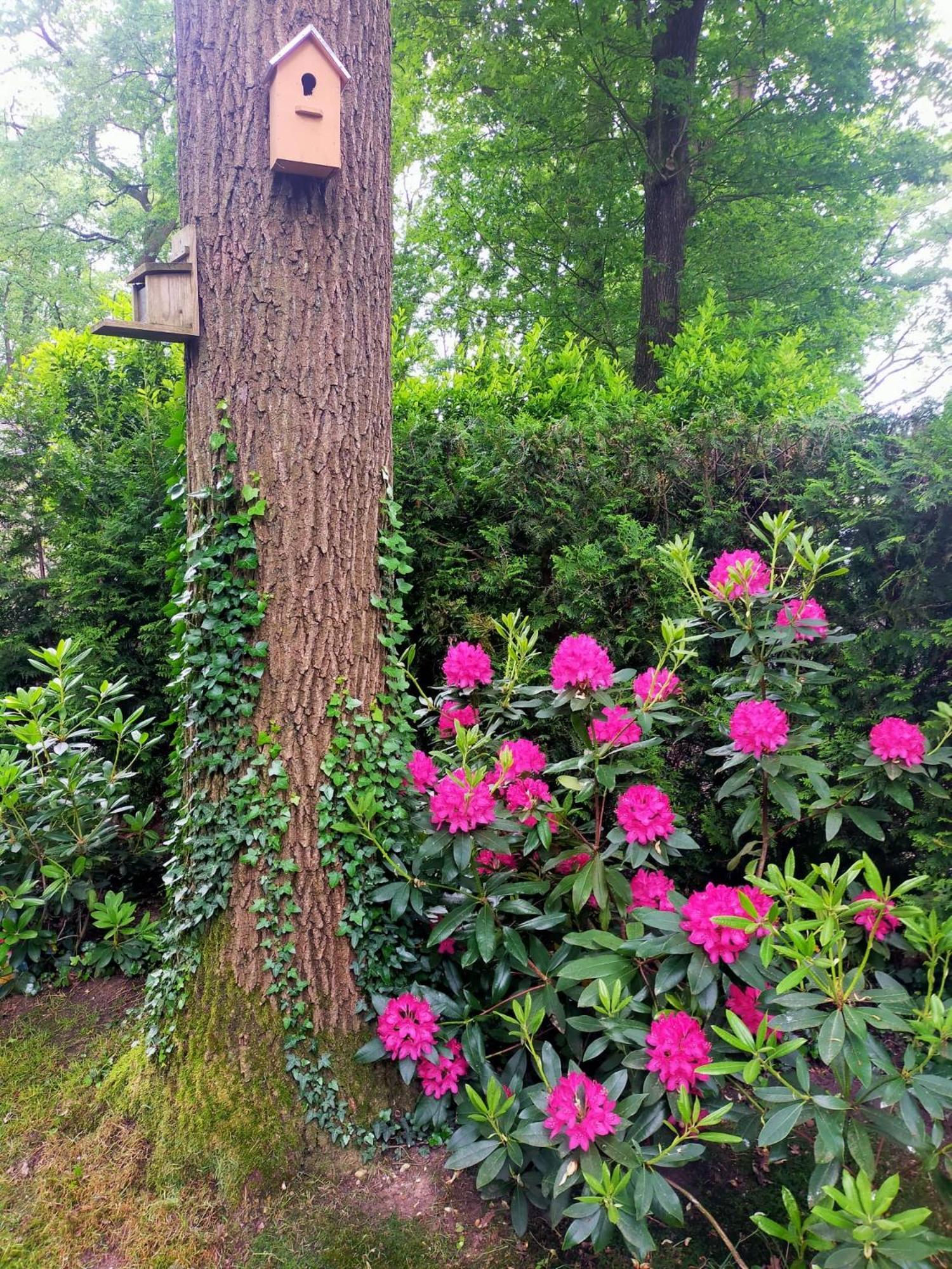 Vakantie Veluwe Βαγκενίνγκεν Εξωτερικό φωτογραφία